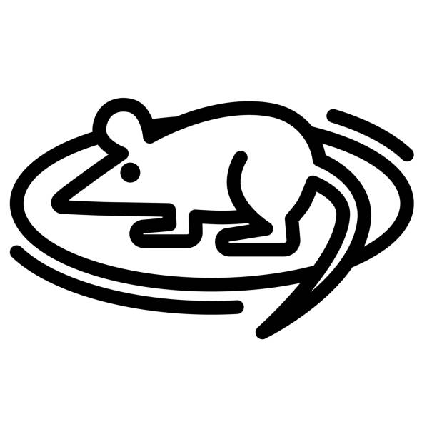 ilustrações, clipart, desenhos animados e ícones de ícone de linha de rato para experimentos, conceito de ciência, sinal de mouse experimental no fundo branco, ícone de mouse de laboratório no estilo de esboço design web conceito móvel. desenho vetorial. - mouse computer mouse pets white background