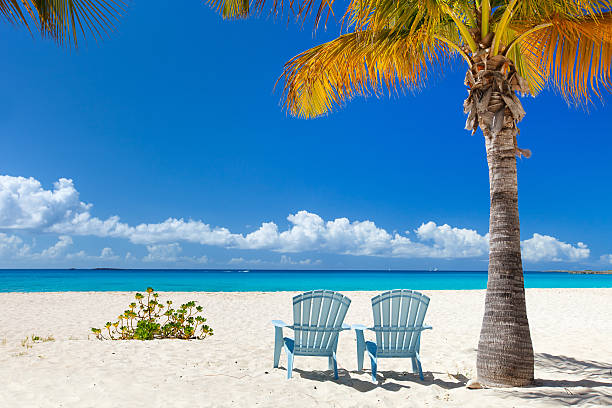 istock Beautiful Caribbean beach 164650369