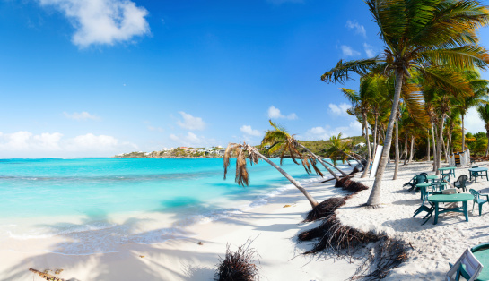Beautiful beach framed with palms and seaside cafe on Caribbean island of Anguilla, 9 photos panorama