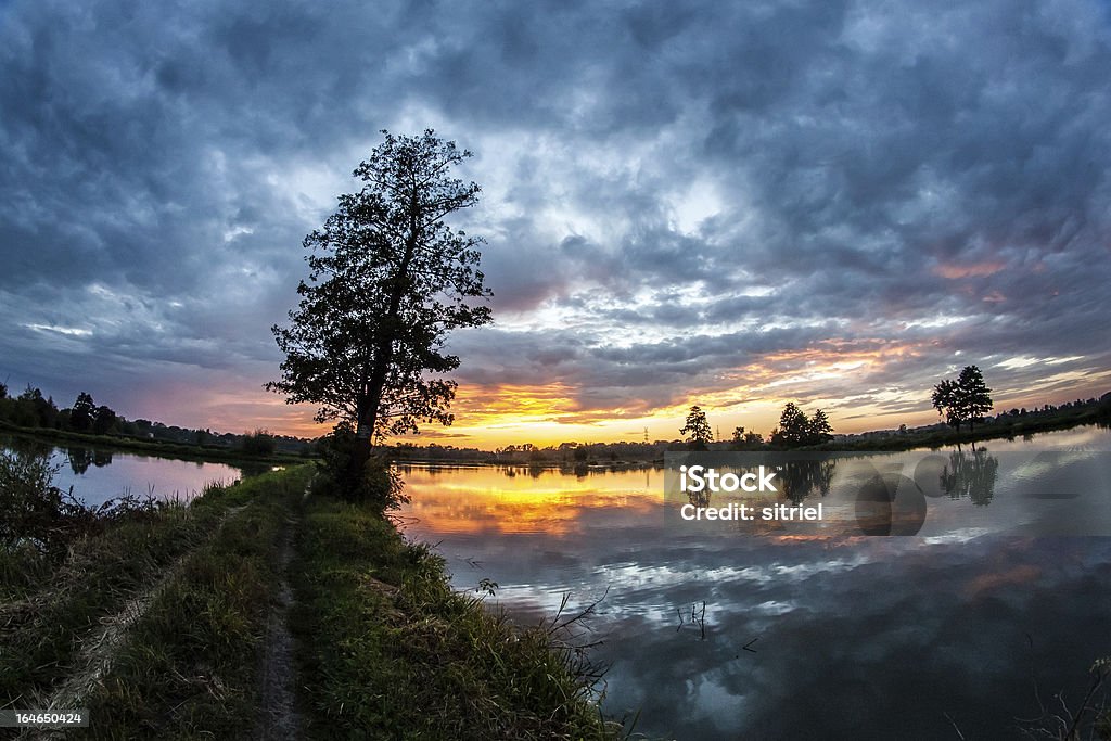 Belo pôr do sol na Paisagem - Royalty-free Ajardinado Foto de stock