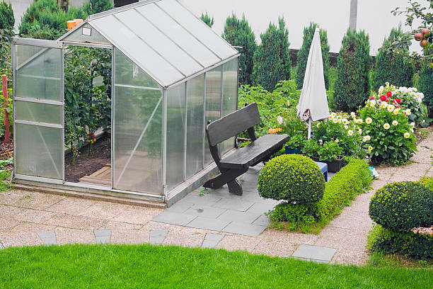 istock Greenhouse in garden 164651228