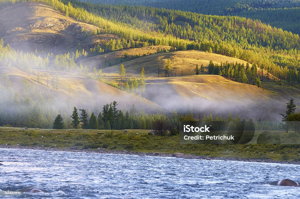 La nebbia mattutina sul fiume nel nord della Mongolia - Foto stock royalty-free di Albero