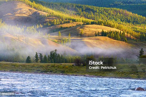 La Nebbia Mattutina Sul Fiume Nel Nord Della Mongolia - Fotografie stock e altre immagini di Albero