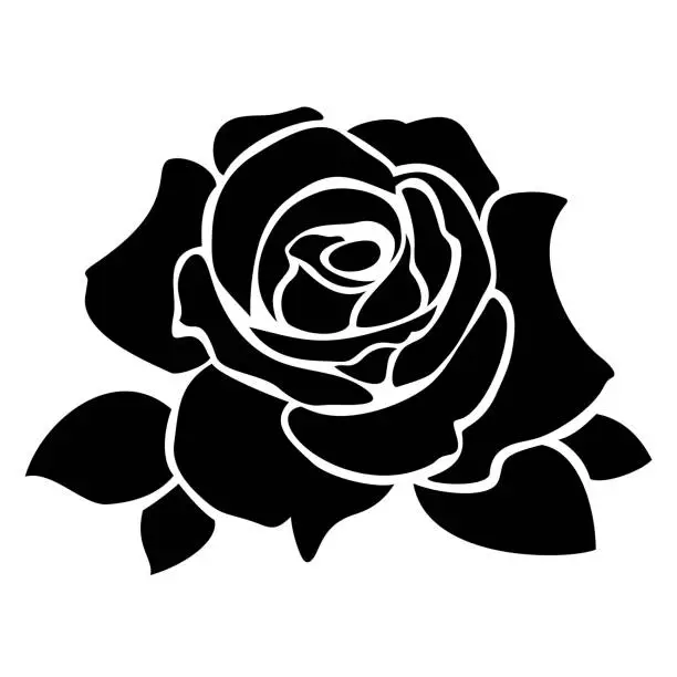 Vector illustration of Rose flower. Vector black and white illustration