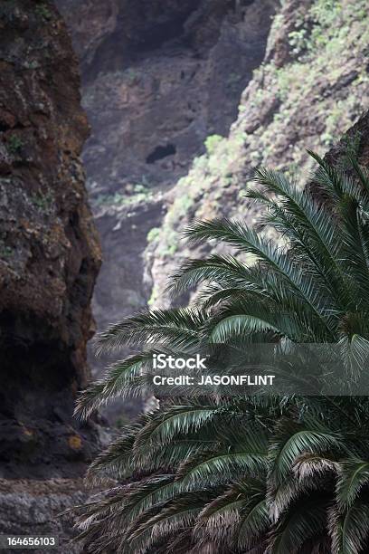 Foto de Palmeira Na Masca Valley e mais fotos de stock de Espanha - Espanha, Exterior, Falésia