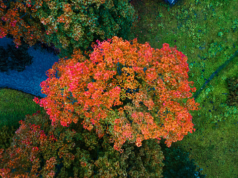 Aerial fall foliage view of rural village