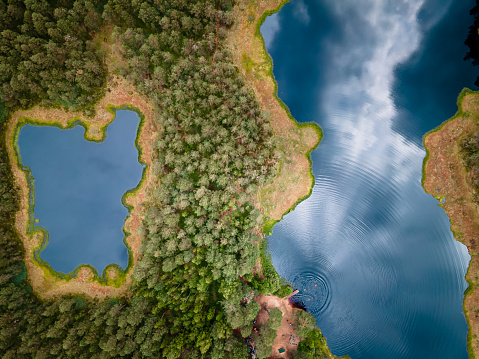 Aerial view of beautiful wild forest lake