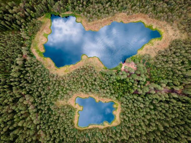 Aerial view of beautiful wild forest lake