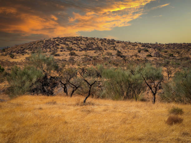 istock view of tabernas desert sierrra nevada in spain 1646584850