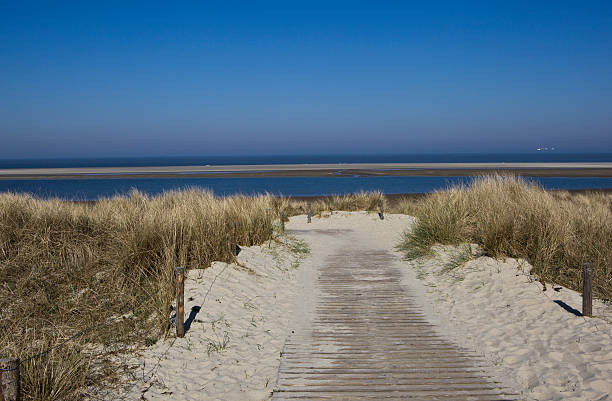 istock Lane to the beach 164658537