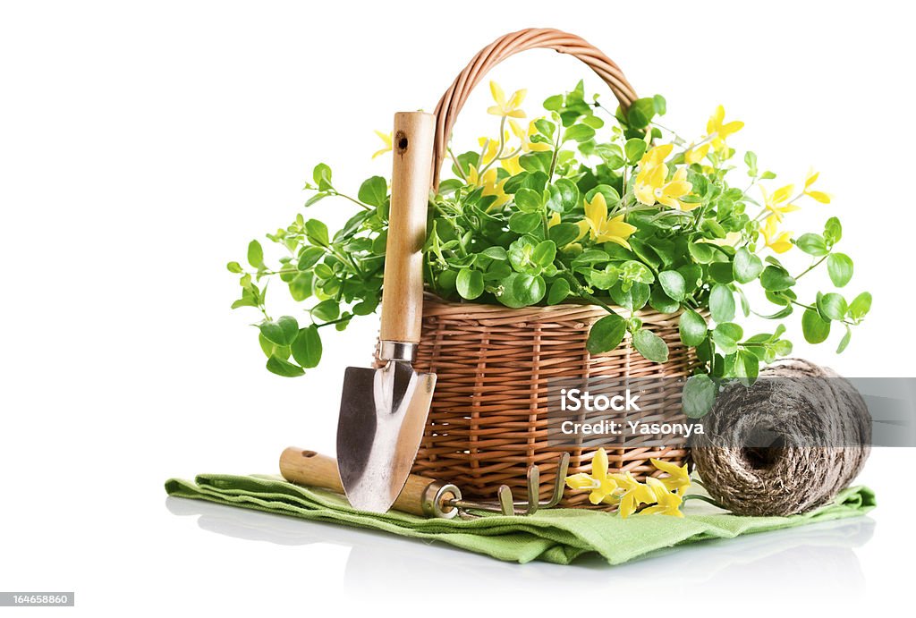 Printemps des fleurs dans un panier avec outils de jardin - Photo de Fleur - Flore libre de droits