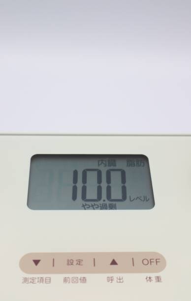 istock Image of excess visceral fat 1646592686