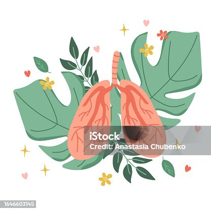 istock Lungs organ. Composition of the lungs against the background of leaves. Vector illustration 1646603145