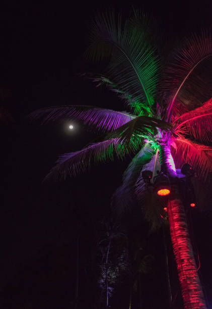 istock Nighttime Party Under the Glowing Moon in Phuket 1646603737