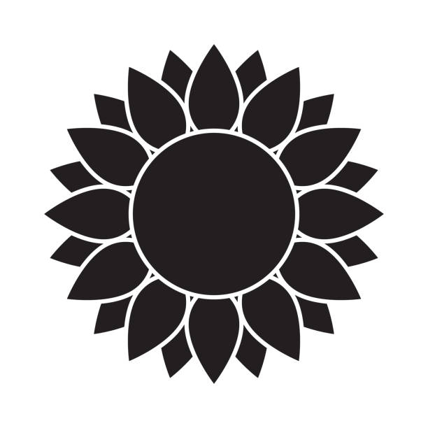 ilustraciones, imágenes clip art, dibujos animados e iconos de stock de icono de silueta de girasol. ilustración vectorial de girasol en color negro. - silhouette beautiful flower head close up