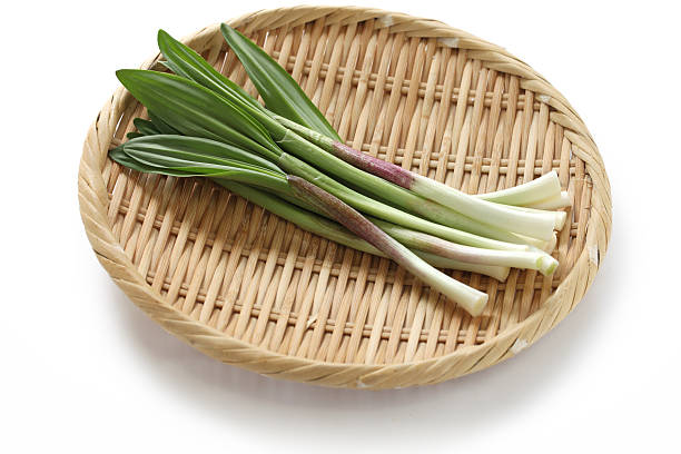 istock alpine leek, victory onion 164661440