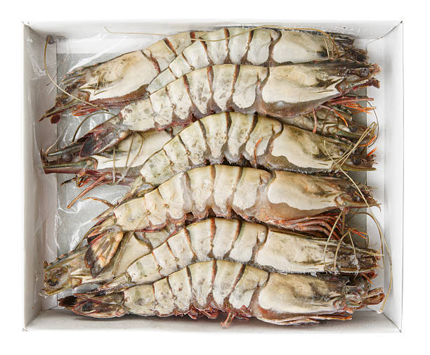 istock Giant prawns in retail pack, isolated with clipping path 164661811