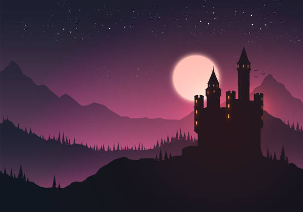 ilustrações, clipart, desenhos animados e ícones de ilustração vetorial de um castelo em uma paisagem à noite - mist castle fog night