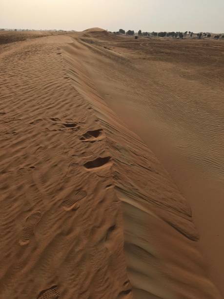 istock Desert dunes in the UAE 1646637738