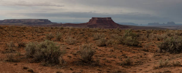 istock Utah Valley of the Gods Panorama 1646638292