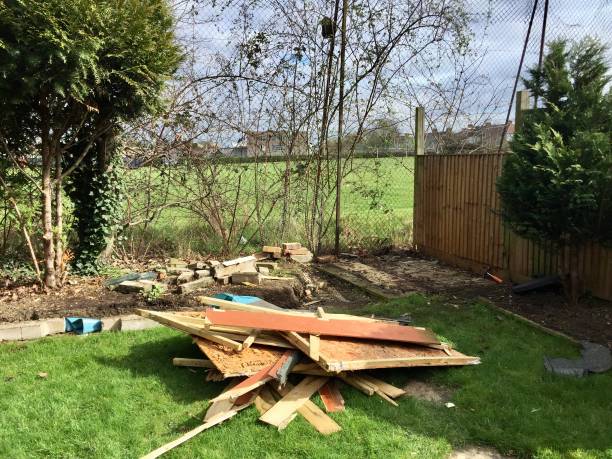 istock Demolished shed in garden 1646639431
