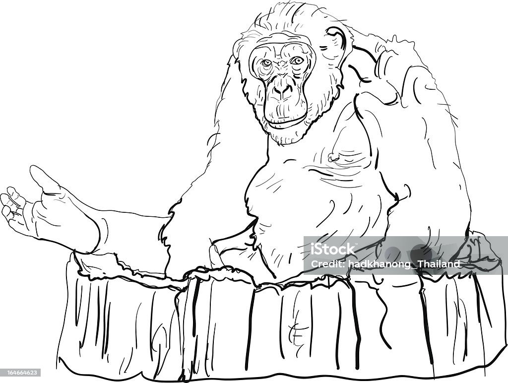 gorilla - arte vettoriale royalty-free di Adulto