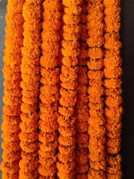 istock Garlands of marigold flowers 1646665124