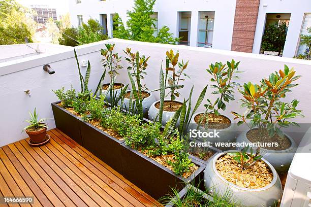 Terrazza Sul Tetto - Fotografie stock e altre immagini di Balcone - Balcone, Flora, Patio