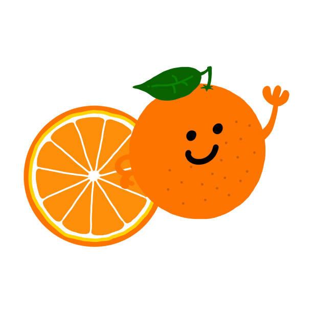 Orange character colored flat illustration. Orange character colored flat illustration. Vector icon.Hands can move. oranges with faces stock illustrations