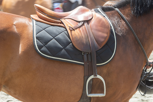 Saddle with black pad on a bay horse