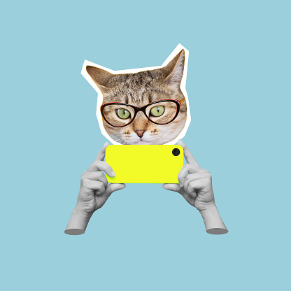 Cat's head in glasses holding yellow mobile phone with camera in hands taking a picture isolated on blue background. 3d trendy collage in magazine style. Modern creative design. Contemporary art