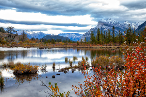 A fall shot over the Vermilion Lakes with Rundle Mountain and Tunnel Mountain. Fall colours