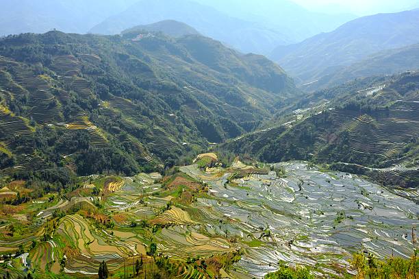 terrasses dans les montagnes - agriculture artificial yunnan province china photos et images de collection