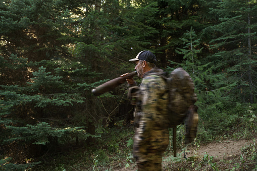 A middle aged man wearing camouflage clothing and carrying a backpack uses a bull elk grunt tube while bowhunting in the forest of Washington State.