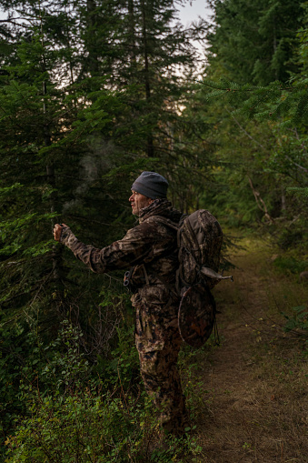 Middle aged bowhunter tracking elk stops on a path in the mountains of the Pacific Northwest while hunting. He stops to look out in the distance, searching for elk.
