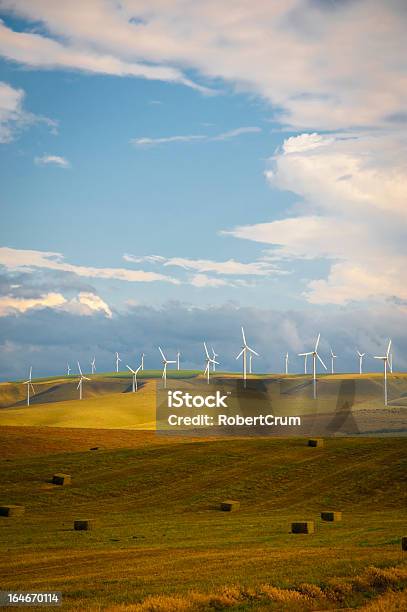 Turbinas Eólicas Entre Los Campos De Trigo Foto de stock y más banco de imágenes de Aerogenerador - Aerogenerador, Aire libre, Blanco - Color