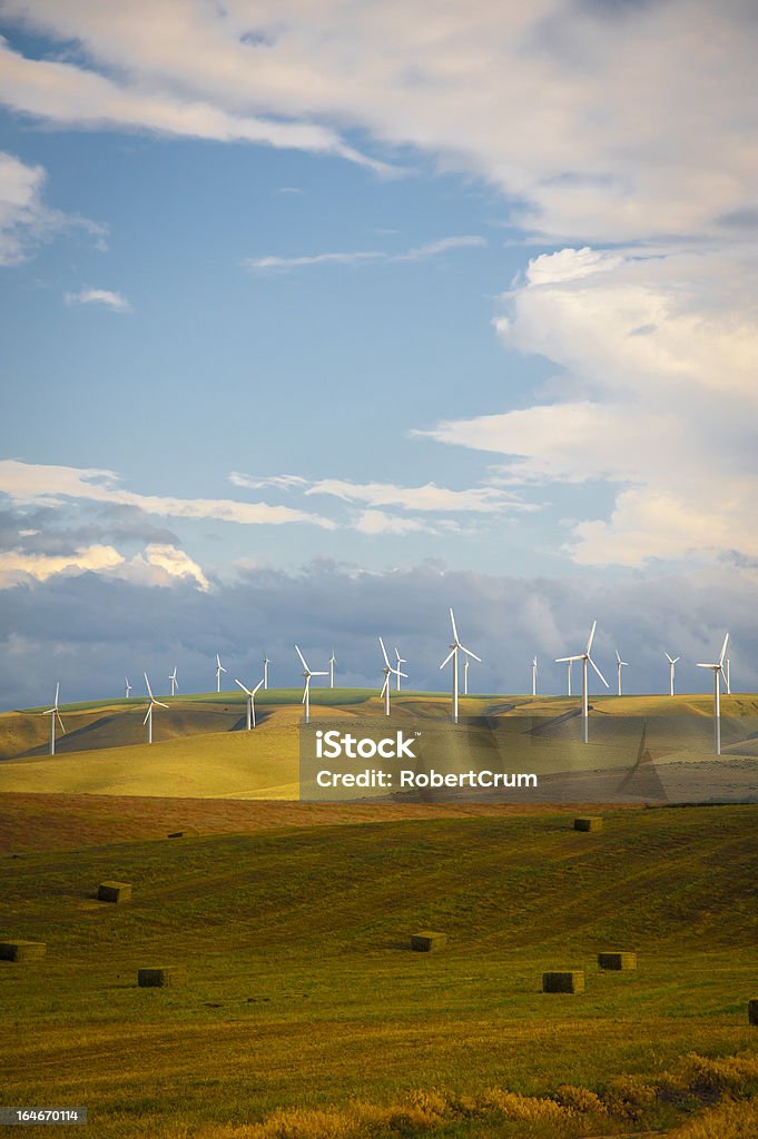 Turbinas eólicas entre campos de trigo - Royalty-free Ao Ar Livre Foto de stock