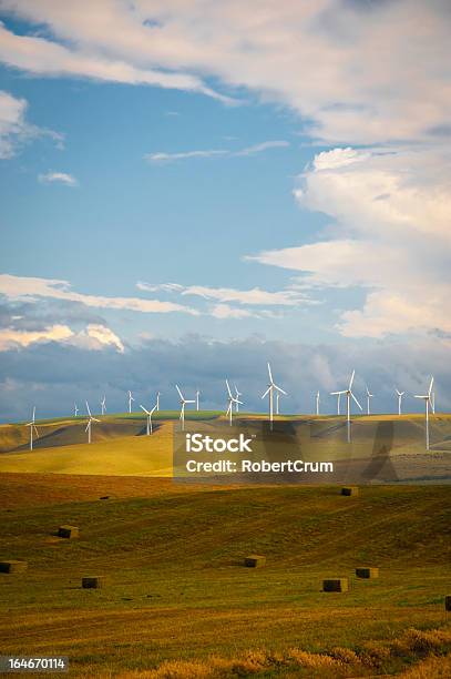 Turbinas Eólicas Entre Campos De Trigo - Fotografias de stock e mais imagens de Ao Ar Livre - Ao Ar Livre, Branco, Combustíveis e Geração de Energia
