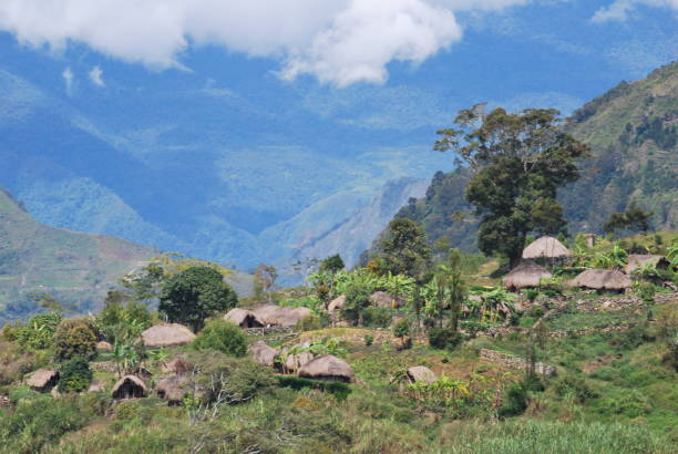 istock Huts of a Dani tribe in Balien valley (Papúa) 1646744894
