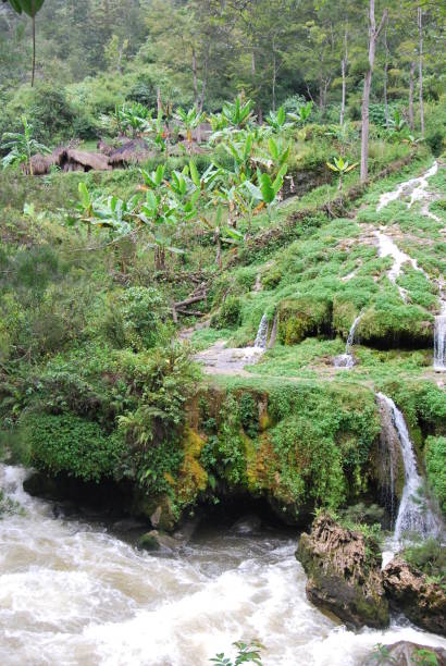 istock Huts of a Dani tribe in Balien valley (Papúa) 1646744980