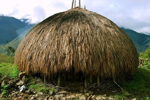 traditional house of the Dani tribe in Papua made of wood and dry straw. The Dani are a Peleolithic culture that lives in the highlands of Indonesian Papua