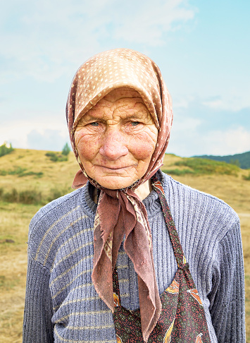 The woman, although she is very old, deals with raising cows. Romania, Novaci. August, 22, 2023