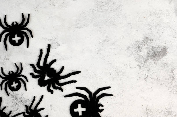istock Halloween flat lay banner with spiders on concrete background with place for text. 1646791152