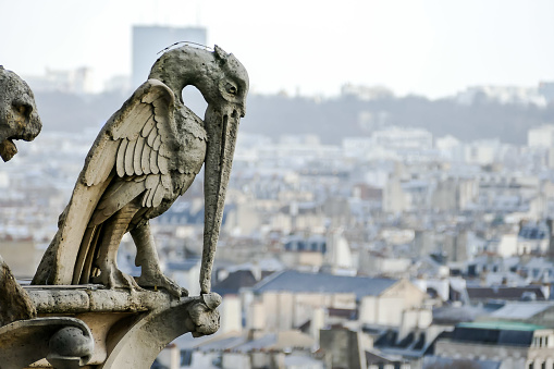 Photo image a Beautiful panoramic view of Paris City