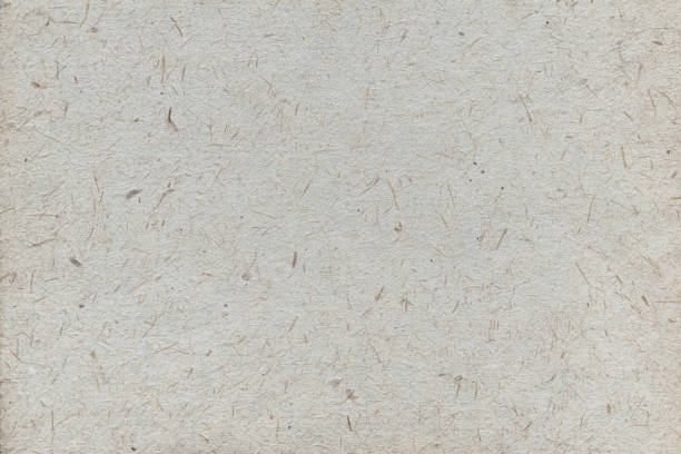 istock Texture of old beige wrapping paper, background. 1646855054