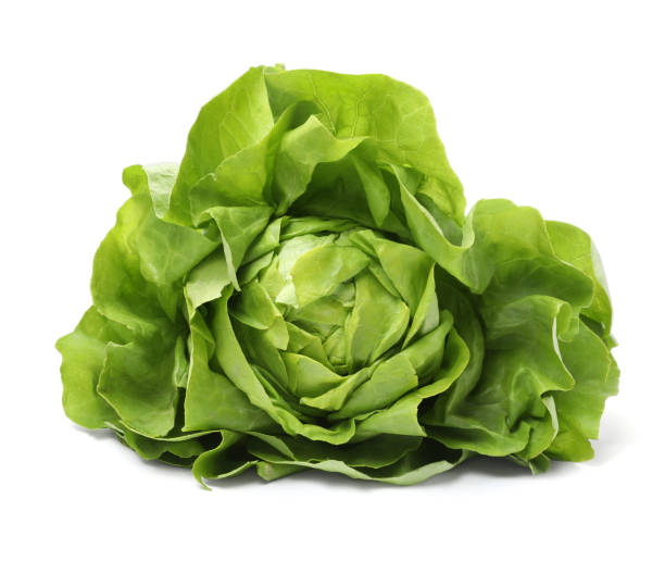 istock Fresh green butter lettuce head isolated on white 1646855634