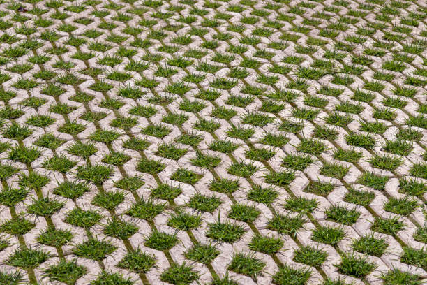 Gray paving slabs with green grass.