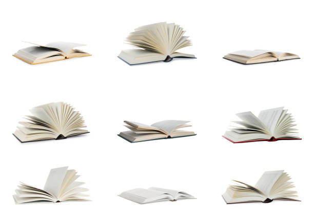 istock Set of different open books isolated on white 1646885637