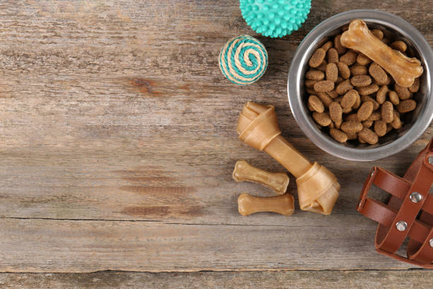 istock Different pet goods on wooden table, flat lay and space for text. Shop assortment 1646887244