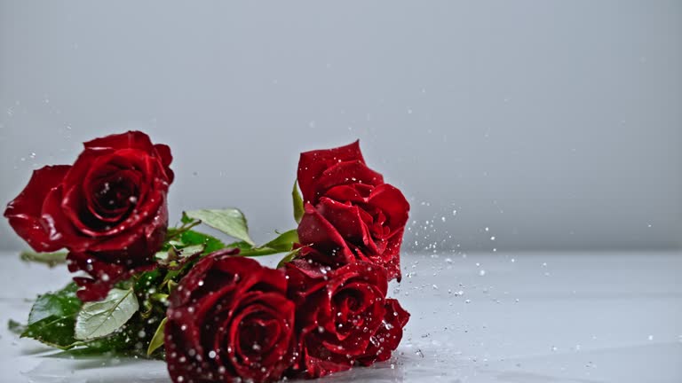SLO MO LD Red roses falling onto white marble floor